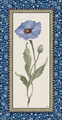 Image Not Available